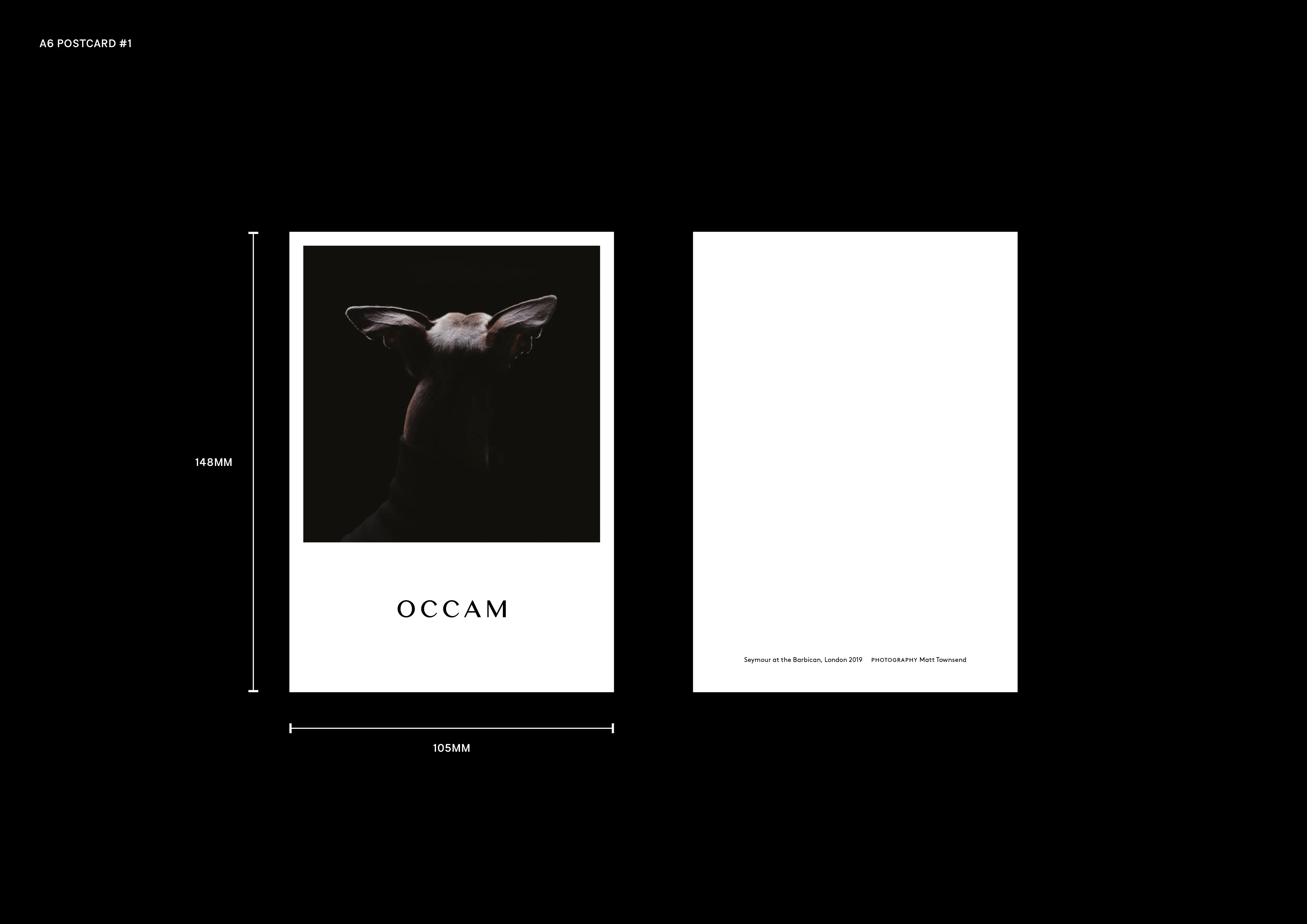 Occam detail 4